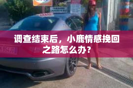 调查结束后，小鹿情感挽回之路怎么办？