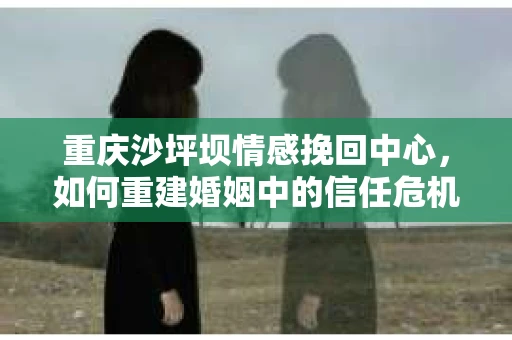重庆沙坪坝情感挽回中心，如何重建婚姻中的信任危机？