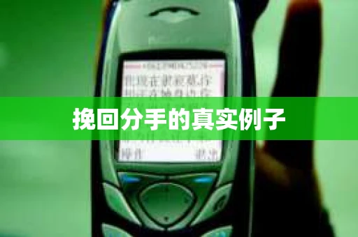 挽回分手的真实例子