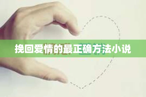 挽回爱情的最正确方法小说