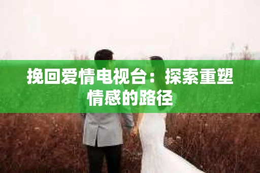 挽回爱情电视台：探索重塑情感的路径