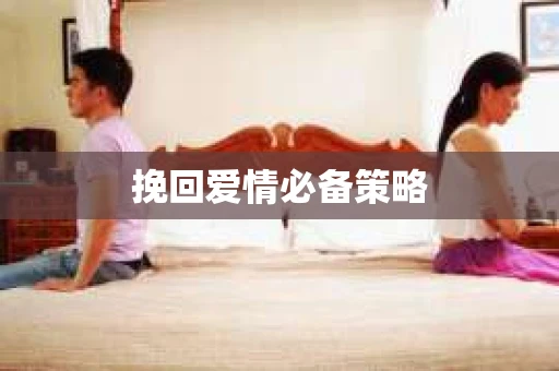 挽回爱情必备策略