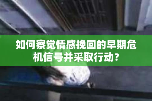 如何察觉情感挽回的早期危机信号并采取行动？