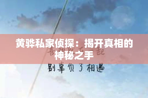 黄骅私家侦探：揭开真相的神秘之手