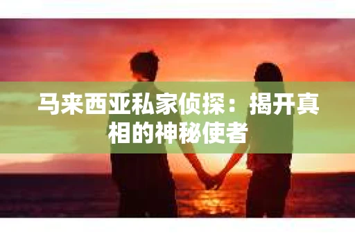 马来西亚私家侦探：揭开真相的神秘使者