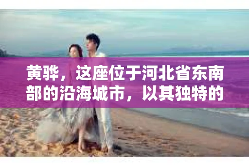 黄骅，这座位于河北省东南部的沿海城市，以其独特的地理位置和丰富的历史文化而闻名。然而，在这座城市中，还有一群人，他们以另一种方式默默守护着社会的公平与正义——私家侦探。今天，我们就来聊聊黄骅的私家侦探，看看他们是如何在这个城市中发挥作用的。