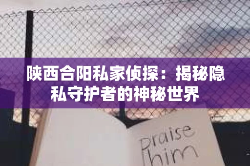 陕西合阳私家侦探：揭秘隐私守护者的神秘世界