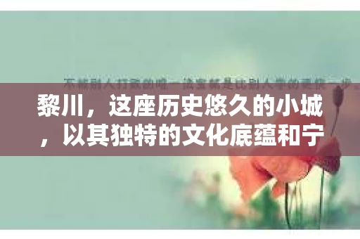 黎川，这座历史悠久的小城，以其独特的文化底蕴和宁静的生活节奏吸引着无数游客。然而，在这样一个看似平静的城市里，你是否会好奇，有没有私家侦探机构的存在呢？今天，就让我带你一探究竟。
