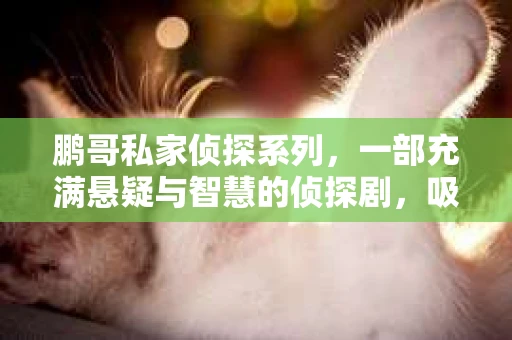鹏哥私家侦探系列，一部充满悬疑与智慧的侦探剧，吸引了无数观众的眼球。今天，就让我带你走进这个充满神秘色彩的侦探世界，一起在线观看鹏哥私家侦探系列，感受那扣人心弦的故事情节。