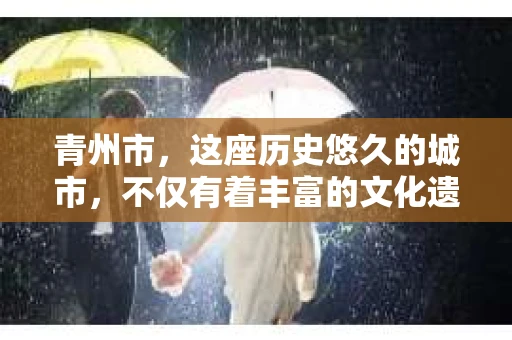 青州市，这座历史悠久的城市，不仅有着丰富的文化遗产，也有着现代生活的便捷。那么，问题来了——青州市有私家侦探公司吗？这个问题，对于需要侦探服务的人来说，无疑至关重要。接下来，我就来为大家揭开这个谜底。