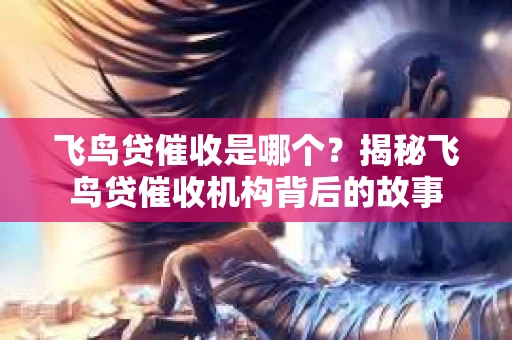 飞鸟贷催收是哪个？揭秘飞鸟贷催收机构背后的故事