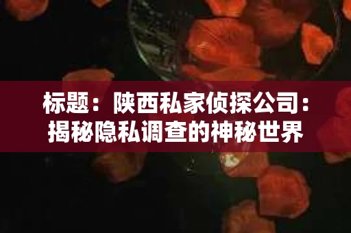 标题：陕西私家侦探公司：揭秘隐私调查的神秘世界