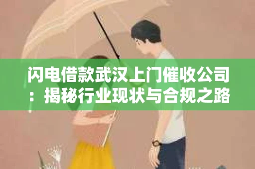 闪电借款武汉上门催收公司：揭秘行业现状与合规之路
