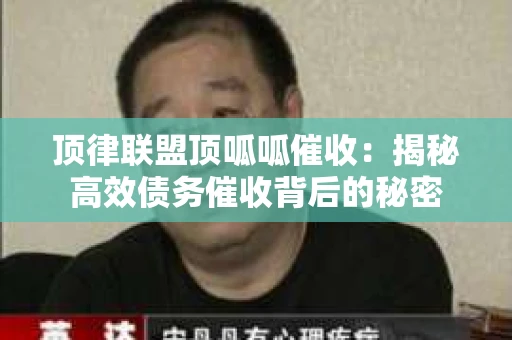 顶律联盟顶呱呱催收：揭秘高效债务催收背后的秘密