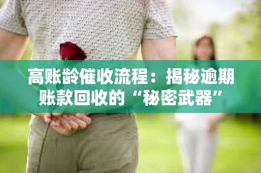 高账龄催收流程：揭秘逾期账款回收的“秘密武器”