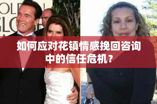 如何应对花镇情感挽回咨询中的信任危机？