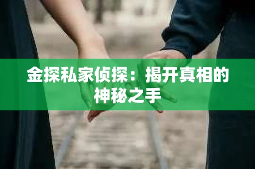 金探私家侦探：揭开真相的神秘之手