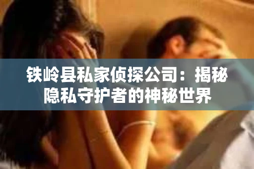铁岭县私家侦探公司：揭秘隐私守护者的神秘世界