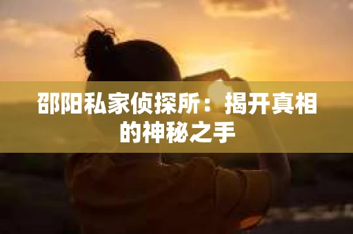 邵阳私家侦探所：揭开真相的神秘之手