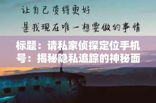 标题：请私家侦探定位手机号：揭秘隐私追踪的神秘面纱