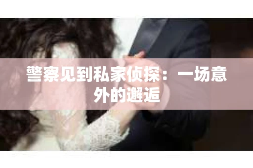 警察见到私家侦探：一场意外的邂逅