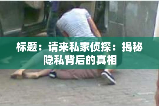 标题：请来私家侦探：揭秘隐私背后的真相