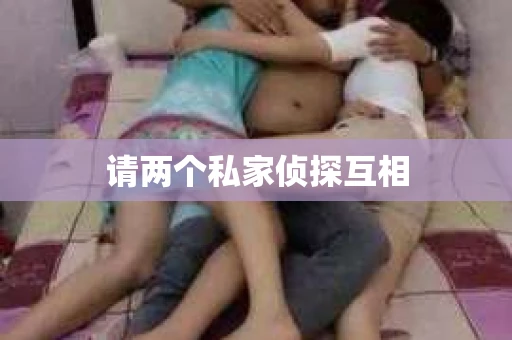 请两个私家侦探互相