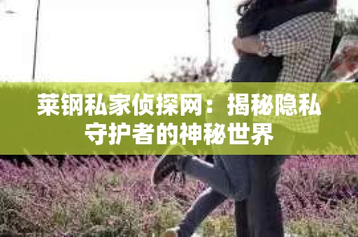 莱钢私家侦探网：揭秘隐私守护者的神秘世界