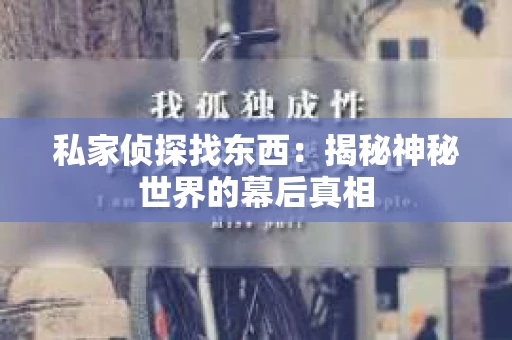 私家侦探找东西：揭秘神秘世界的幕后真相