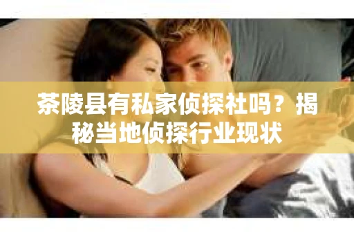 茶陵县有私家侦探社吗？揭秘当地侦探行业现状