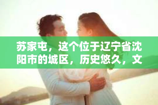 苏家屯，这个位于辽宁省沈阳市的城区，历史悠久，文化底蕴深厚。近年来，随着社会的发展，人们对于私家侦探的需求也逐渐增加。那么，苏家屯有私家侦探吗？今天，我们就来聊聊这个话题。