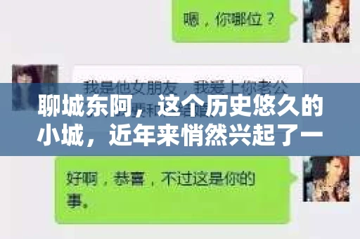 聊城东阿，这个历史悠久的小城，近年来悄然兴起了一股新的服务潮流——私家侦探。今天，我们就来聊聊这个话题，看看在聊城东阿，私家侦探是如何成为人们生活中的一部分的。