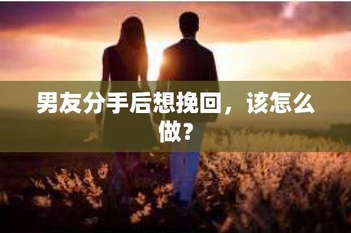 男友分手后想挽回,该怎么做? 男友分手后想挽回,该怎么做?
