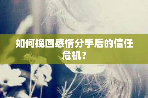 如何挽回感情分手后的信任危机? 如何挽回感情分手后的信任危机?