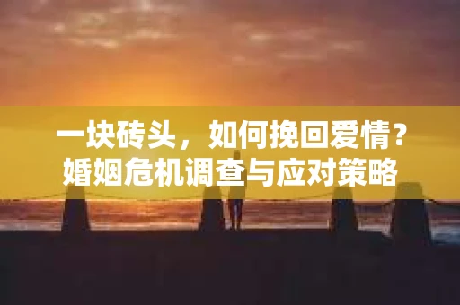 一块砖头，如何挽回爱情？婚姻危机调查与应对策略