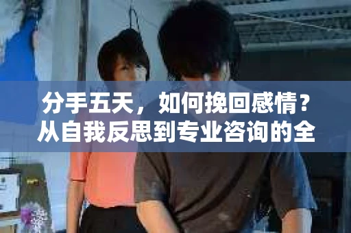分手五天，如何挽回感情？从自我反思到专业咨询的全面解决方案