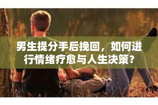 男生提分手后挽回，如何进行情绪疗愈与人生决策？