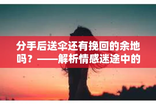 分手后送伞还有挽回的余地吗？——解析情感迷途中的决策
