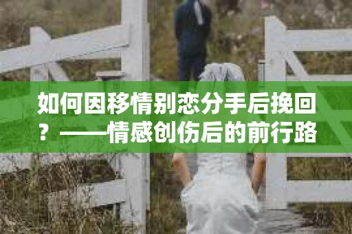 如何因移情别恋分手后挽回？——情感创伤后的前行路线图