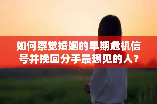 如何察觉婚姻的早期危机信号并挽回分手最想见的人？