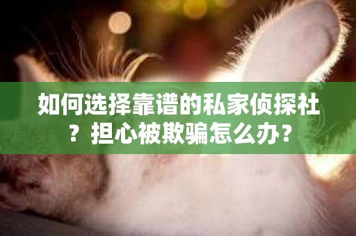 如何选择靠谱的私家侦探社？担心被欺骗怎么办？