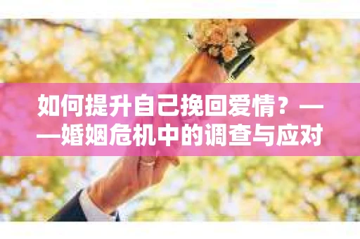 如何提升自己挽回爱情？——婚姻危机中的调查与应对策略